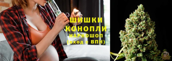 прущий лед Михайлов